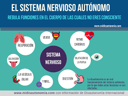 En medicina, el término disautonomía o disfunción autonómica hace referencia a un conjunto de síntomas que se deben a un funcionamiento inadecuado del sistema nervioso autónomo o vegetativo. Mi Disautonomia Visita Nuestro Blog Y Comparte Tu Historia Www Midisautonomia Com La Disautonomia Incluye Una Serie De Sintomas Que Hace Complicado El Dia A Dia Para La Persona Que La Padece En