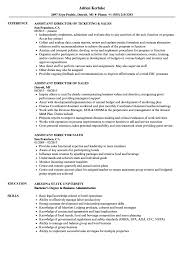 Hotel manager assistant is responsible for supporting the hotel manager with daily hotel operations and services. Assistant Director Sales Resume Samples Velvet Jobs