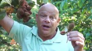 Thirty Minute La Bonne Nouvelle Shows