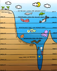 Layers Of The Ocean Reference By Thebrittanylee On Deviantart Layers Of The Ocean Ocean Science Ocean Projects