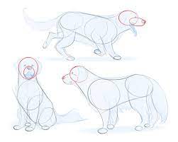 Everybody loves looking at cute animals. How To Draw Dogs Art Rocket