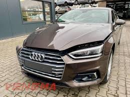 Image result for Argus Brown 2018 A5