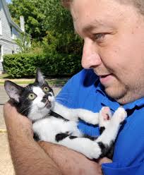 Dog & kitty days of summer