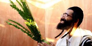 It's obviously already a jewish holiday. Sukkot A Jewish Thanksgiving Jewish Israel News Algemeiner Com