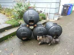 Feral Cat Shelter Hayvanlar Kedi Evi Kopek