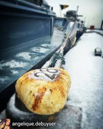 Repost De Angelique Debuyser A Suivre A Bord De L Ocarina Commentaire Ce Matin La Neige S Invite A Gant Gent Neige Matin In 2020 Food Turkey Bread