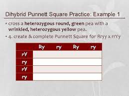 We did not find results for: Mendelian Genetics Monohybrid Crosses Vs Dihybrid Crosses Dihybrid