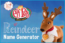 Diy Tooth Fairy Tote The Elf On The Shelf Elf Pets Reindeer Names Reindeer Pet
