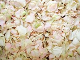 64 Cups Of Ivory And Blush Freeze Dried Pathway Rose Petals Etsy Freeze Dried Rose Petals Dried Rose Petals Real Rose Petals