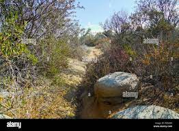 Cole Canyon trail in Murrieta, CA Stock Photo 
