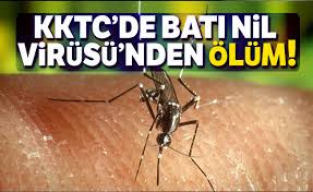 Sivrisinekler aracılığı ile tüm memeli hayvanlara ve insanlara bulaşabilir. Kktc De Bati Nil Virusu Nden Ilk Olum