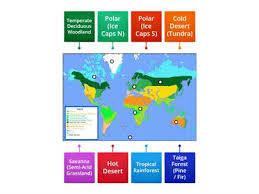 Maybe you would like to learn more about one of these? Tropical Rainforest Teaching Resources