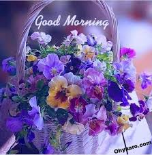 Nov 08, 2021 · download good morning gif images add text on good morning gif imagesgood morning gif cards beautiful good morning imageshappy good morning photos friday august 6. Good Morning Wallpaper Download Oh Yaaro