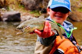 Check spelling or type a new query. The Best Trout Fishing Youtube Channels Fishin Money Fishing Tips In 2020 Trout Fishing Fish Fishing Tips