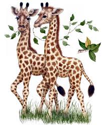 Zoo Jungla Selva Animales Imagenes Para Bajar Hayvan Resimleri Zurafa Hayvan