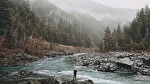 When you're reading a river, especially if you're looking for a safe route to canoe or kayak, always avoid strainers. How To Read A River For Gold Complete Guide Where To Find Gold In Rivers And Streams Prospectingplanet