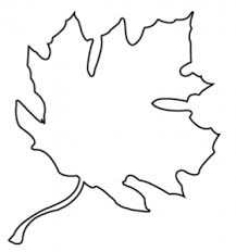 Graphisme Feuille D Automne Chd Ecole Feuille Automne Coloriage Fruits Feuille