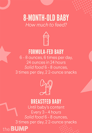 ■ at this age, each feed should consist of around 150 to 220 ml. 8 Month Old Baby