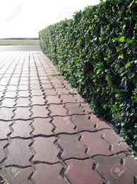 17 mins · cannes, france ·. Schon Und Ordentlich Garten Weg Ebnen Fur Stein Lizenzfreie Fotos Bilder Und Stock Fotografie Image 11738748