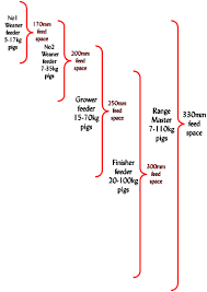 Pig Growth Rates Feed Trough Requirements