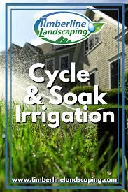 Cycle And Soak Irrigation Timberline Landscaping Landscape Residential Landscaping Landscape Services