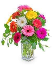 We did not find results for: Lawton Ok Birthday Flowers Fort Sill Scott S House Of Flowers Lawton Oklahoma
