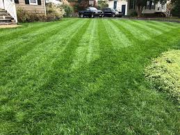 Looking for a professional landscapers in chicago. Scotts Turf Builder Grass Seed Landscapers Mix Grass Seed Scotts