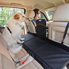 Backseat Bridge Backseat Extender Your Dog Pets Dogs