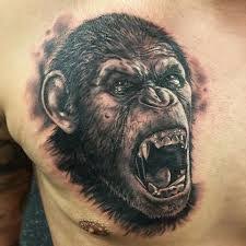Джеймс франко, фрида пинто, джон литгоу и др. Znalezione Obrazy Dla Zapytania Planet Of The Apes Tattoos Tattoos Movie Tattoo Arm Tattoo