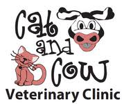 Services Veterinarian In Olive Branch Ms Cat Cow Veterinary Clinic