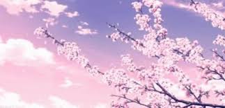 Cherry Tree Aesthetic Anime 61 New Ideas Anime Scenery Anime Scenery Wallpaper Anime Backgrounds Wallpapers