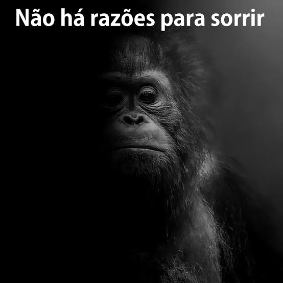 images?q=tbn:ANd9GcQNinlMixXcitRUVIz201h
