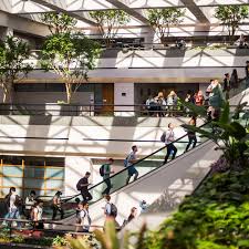 Student Health Services Loyola Marymount University
