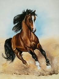 One Of My Paints Running Horse Oil On Canvas 18in X 24in Cavalos