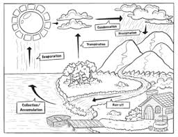 Print this page to color with your kids at home. Water Cycle Coloring Worksheets Teaching Resources Tpt