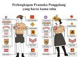 Apr 06, 2016 · pramuka golongan penggalang atau golongan sekolah menengah pertama atau smp ini memilik atribut yang tidak jauh berbeda dengan golongan siaga, diantaranya adalah: Pasang Logo Pramuka Sd Info Gtk