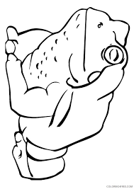 Click the male american bullfrog coloring pages to view printable version or color it online (compatible with ipad and. Frog Coloring Pages Bullfrog Coloring4free Coloring4free Com