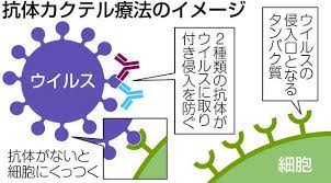 Jun 30, 2021 · 中外製薬は29日、「抗体カクテル療法」と呼ばれる点滴薬を、新型コロナウイルス感染症の治療薬として厚生労働省に承認申請したと発表した. Oiyedzebqea Dm