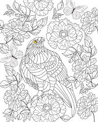 1000+ other difficult coloring pages for adults waiting for you! Colorear Pajaro Dibujado A Mano Ilustraciones Vectoriales Clip Art Vectorizado Libre De Derechos Image 45986923
