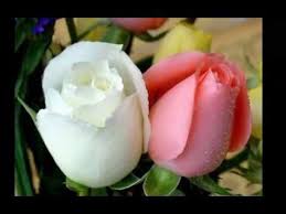 Check spelling or type a new query. ØµÙˆØ± ÙˆØ±Ø¯ Ø§Ø¬Ù…Ù„ ØµÙˆØ± ÙˆØ±Ø¯ Ø¬Ù…ÙŠÙ„ Ø¨Ø§Ø¬Ù…Ù„ Ø§Ù„Ø§Ù„ÙˆØ§Ù† Ø·Ø¨ÙŠØ¹ÙŠ Ø§Ø­Ù…Ø± ÙˆØ§Ø¨ÙŠØ¶ Youtube