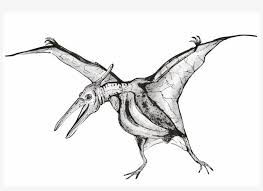 Paddock 11 indominus rex jurassic world #indominus_rex #jurassic_park #jurassic_world #mundo_jurasico #paddock #parque_jurasico. Indominus Rex Sketch Transparent Png 1920x1359 Free Download On Nicepng