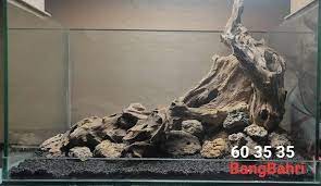 Pin On Bangbahri Aquascape