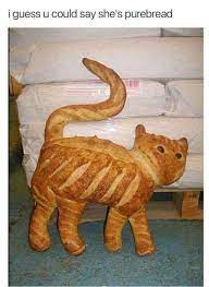 20 Punny Memes And Comics That Will Make You Groan In 2021 Cat Bread Food Themes Bread Art