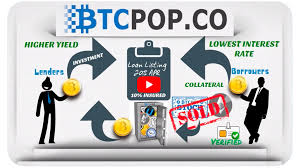 Want to understand peer to peer network? How To Invest In A Bitcoin Loan Https Btcloans Org By Btcloans Org Medium