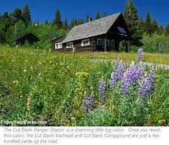 Cut Bank Area - Enjoy Your Parks