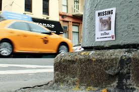 A good pest control company will train their technicians in the best and safest application techniques, so they can use less material how do you do pest control at home? Rodent Control Company D Con Puts Missing Posters For Mice Around Nyc Rodent Control Pest Control Missing Posters