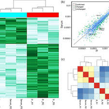 Luni, marți, miercuri, joi, vineri, sâmbătă sunt situații în care un an nu are 52 de săptămâni complete. Pdf Proteome Analysis Of Ground State Pluripotency