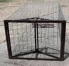 See full list on solutionsstores.com Live Animal Squirrel Cats Dogs Rats Raccoons Feral Hogs Traps