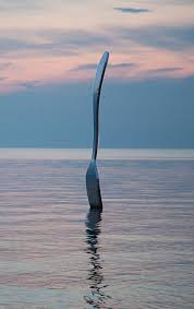 We did not find results for: Accueil Ze Fork Ze Fork Restaurant Au Bord Du Lac Vevey