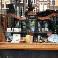 Dutch seeds provide the highest quality marijuana in amsterdam The Sensi Seed Bank De Wallen 1 Tip From 196 Visitors